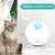 KittyKlean™ - Smart Cat Odor Purifier